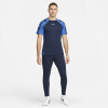 Спортивні штани Nike Dri-FIT Academy Pro Pant DH9240-451