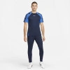Спортивні штани Nike Dri-FIT Academy Pro Pant DH9240-451